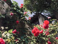 -千灯古镇