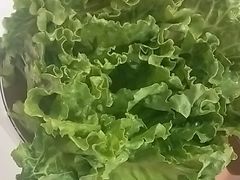 -前门·鲜肉火锅(长风店)