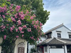 -苏州东山雕花楼宾馆