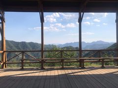-大岭沟猕猴桃谷风景区