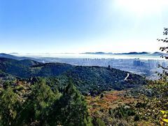 -府君山公园