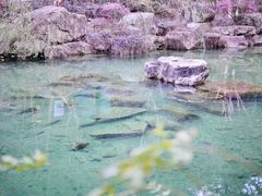 -黄公望隐居地