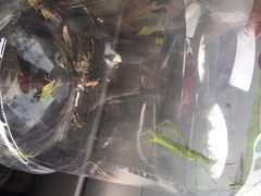 iphone_upload_pic-定都峰