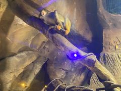 -波塞冬旅游度假区