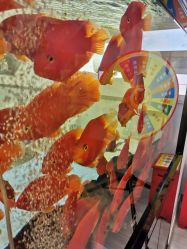 -痘瑞仕·专业祛痘国际连锁