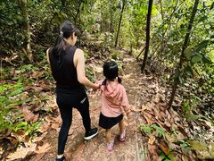 -武吉知马自然保护区