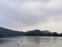 -顺峰山公园