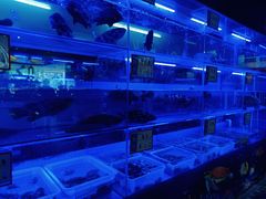 -泰谷酒店·太古码头闽菜自助餐厅