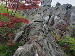 -千岛湖石林