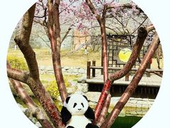 -三里河公园