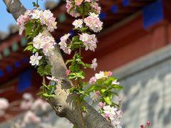 -北京鲁迅博物馆(北京新文化运动纪念馆鲁博馆区)