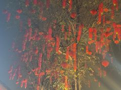 -阆辣荟餐饮(老味道8年·古城店)