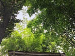 -成都杜甫草堂博物馆