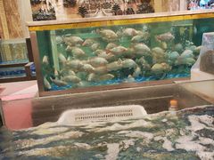 -顺峰(南二环店)