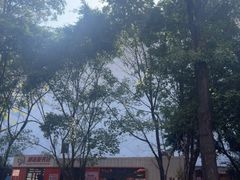 -万达广场(惠州大亚湾店)