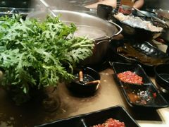 -手选潮汕鲜活牛肉火锅(二七广场店)