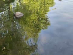 -天鹅湖体育公园