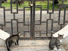 -堤角公园