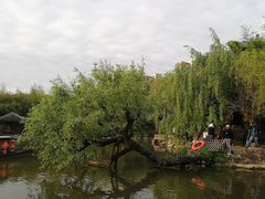 -水绘园