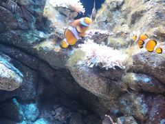 -成都浩海立方海洋公园