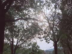-武汉园博园(武汉自然博物馆)