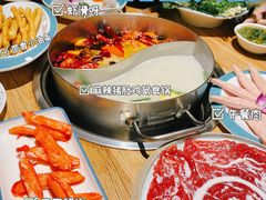 -青瓷火锅料理(西单大悦城店)