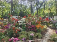 -上海鲜花港