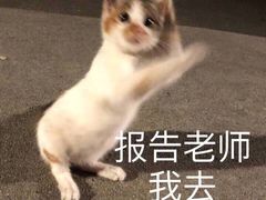 -呷哺呷哺(凯旋广场店)