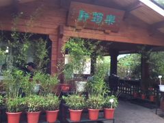 -紫竹院公园冰场