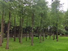-晓港公园