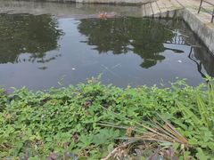 -合肥野生动物园