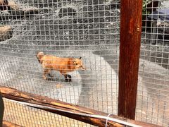 -淄博聊斋城景区