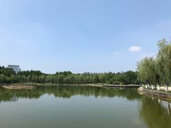 -五环公园