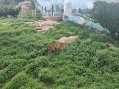 -西霞口神雕山野生动物世界