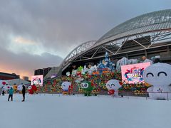 -沈阳奥体冰雪嘉年华