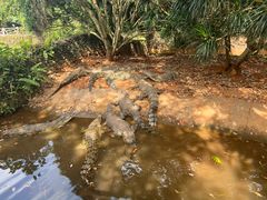 -海南热带野生动植物园