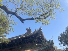 -潭柘寺景区