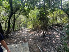 -杭州半山国家森林公园