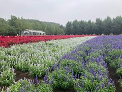 -富田农场