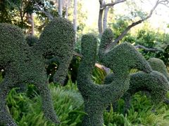 -墨尔本皇家植物园