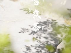 -扫雪煮茶(西村店)