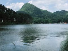-黔灵山公园