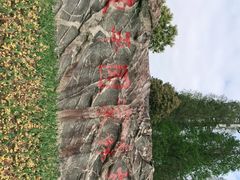 -东平国家森林公园