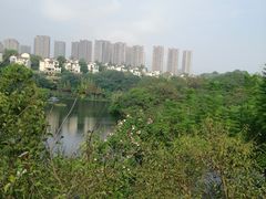 -重庆彩云湖湿地公园