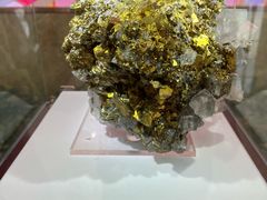 -湖南省地质博物馆