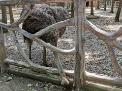 -昆山城市生态森林公园