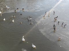 -迎泽公园