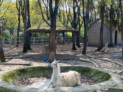 -昆山城市生态森林公园