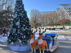 -南宫五洲植物乐园