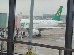 -春秋旅游航空(西藏路分部)